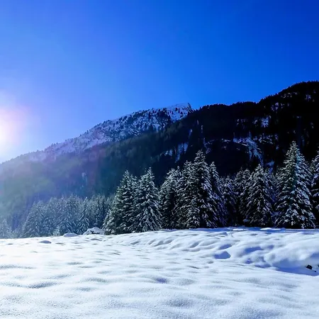 Bergdiamant *